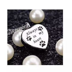 Dog Ashes Necklace Choose From Two Style