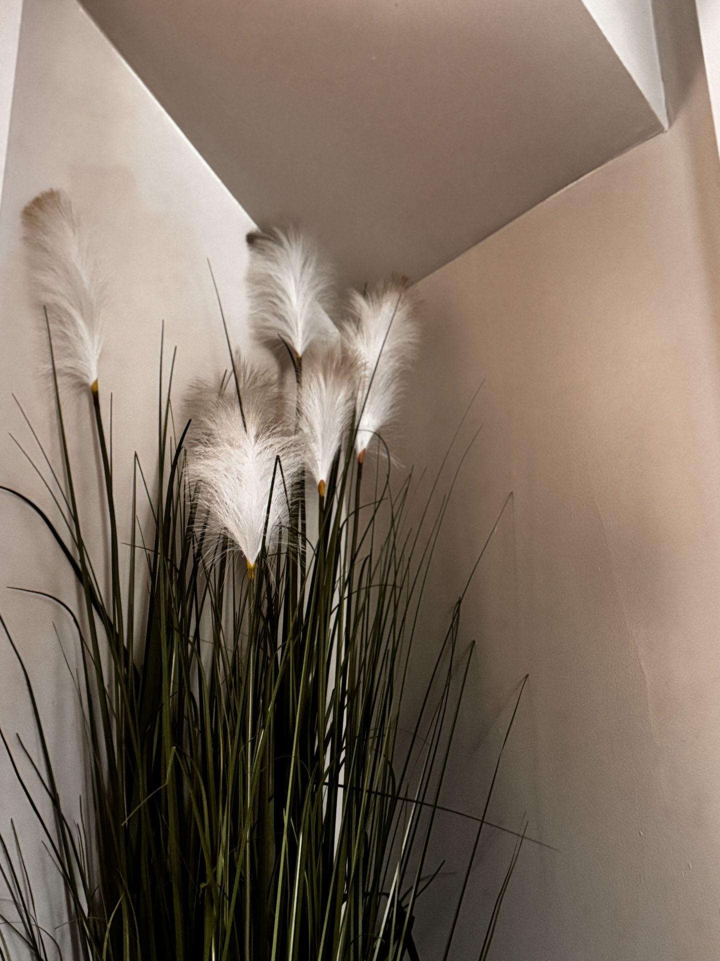 Plant Artificial