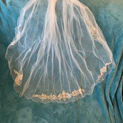 Vera Wang Veil