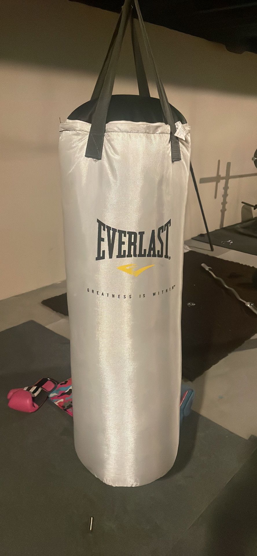 80lb Punching Bag With Gloves 