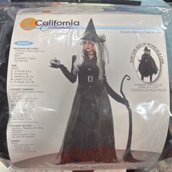 Adult Witch Costume