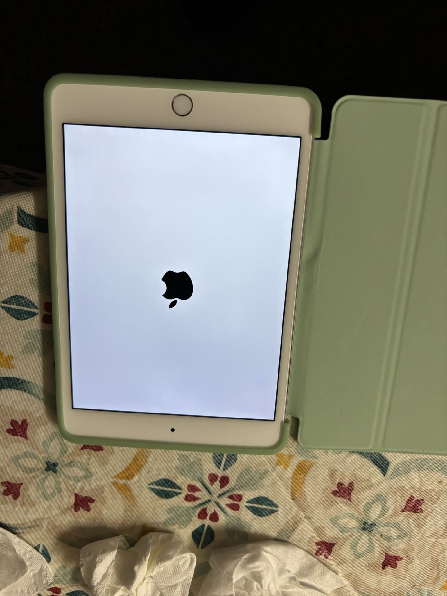 iPad Mini 4