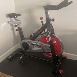 Sunny Exercise Bike 