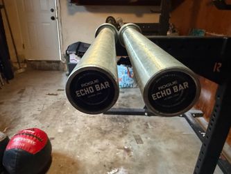 Rogue Echo Barbell