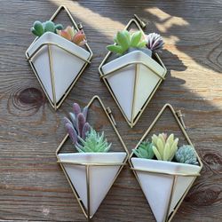 Hanging Planter Vase Set of 4 Pots for Succulents/Faux Plants 