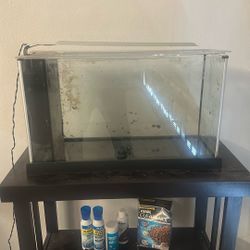 Fluval 5 Gallon Aquarium With Stand 