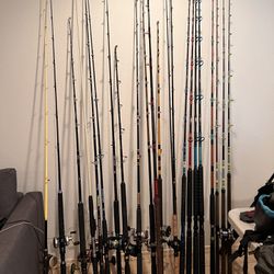 Fishing Rods And Combo 