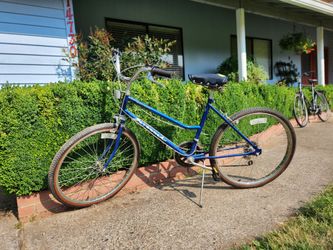 Schwinn Bicycle