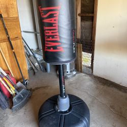 Everlast Omniflex Punching Bag