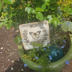 French Butterfly Appetizer Dish (3) country Laurel wreath trinket