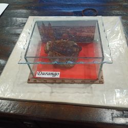 SCORPION IN A GLASS CASE 