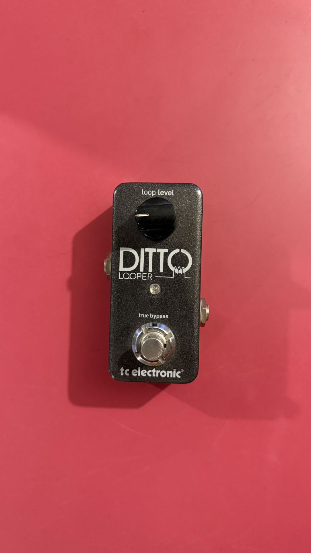 Ditto looper