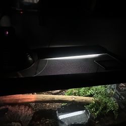 40 Gallon Thrive Tank (only Tank)