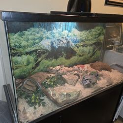 Rosy Boa Tank For Sale