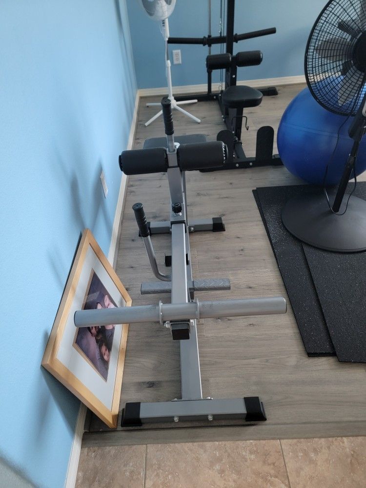 Gym Equipment