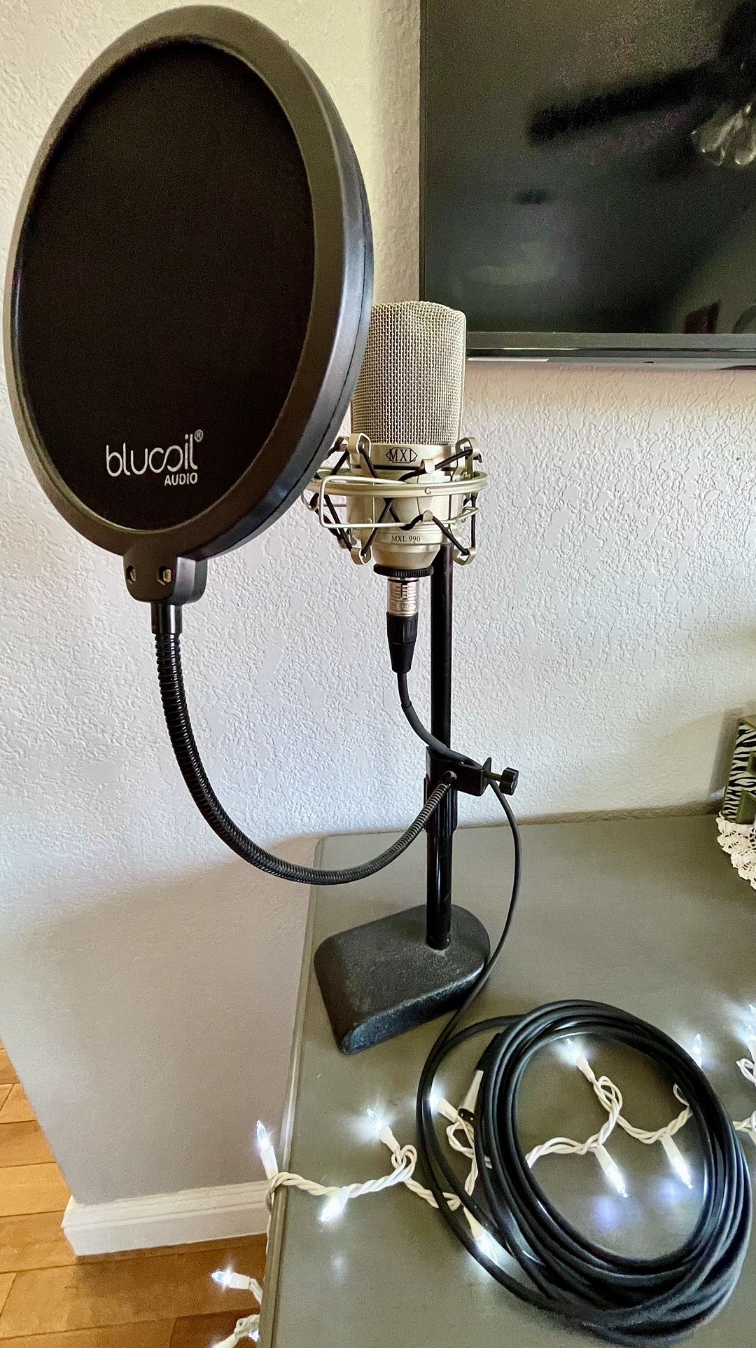 Condenser Microphone (negotiable)
