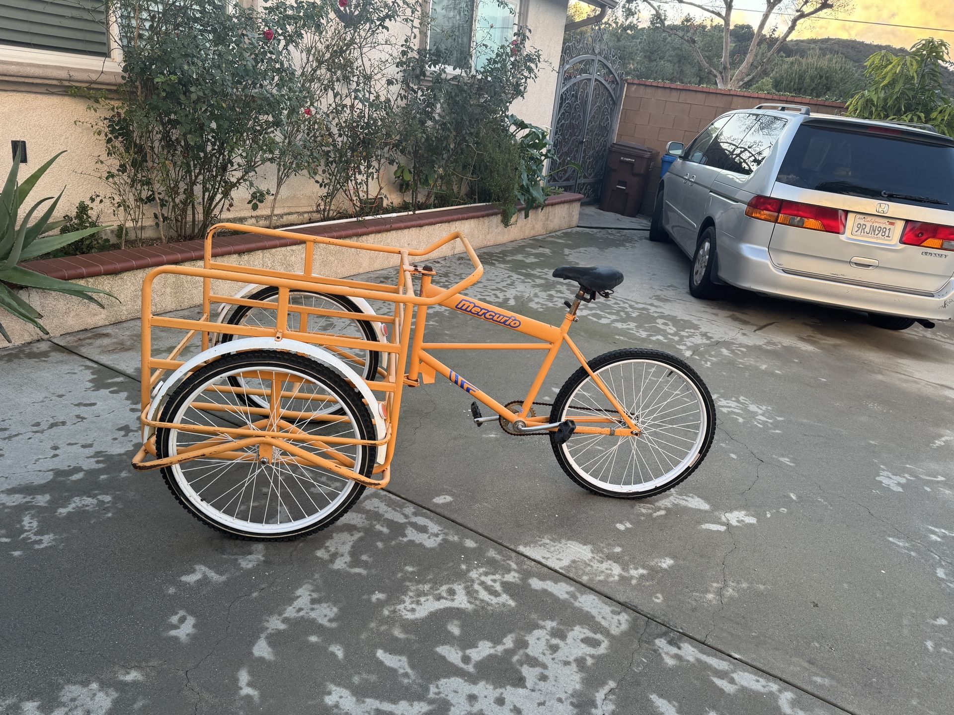 Triciclo de Carga Mercurio, Mercurio Cargo Tricycle