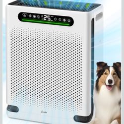 Air Purifiers for Home Large Room 