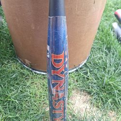 Louisville Slugger  TPX Dynasty Youth Baseball Bat, 31/18