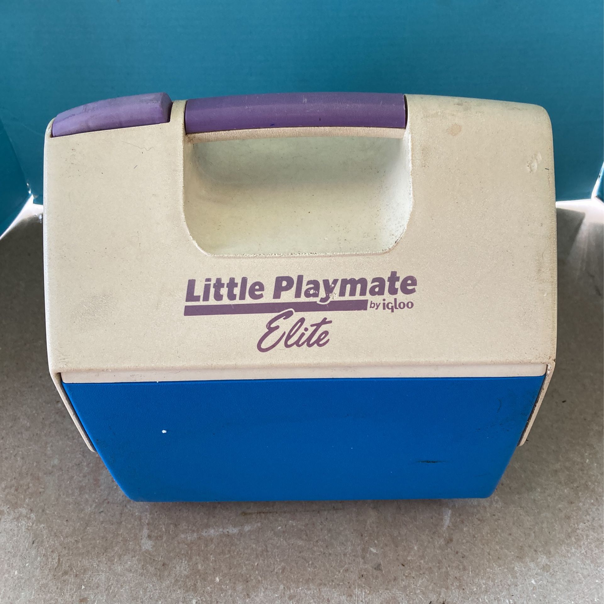 Little playmate, elite igloo cooler