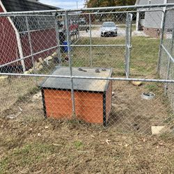 Dog Kennel