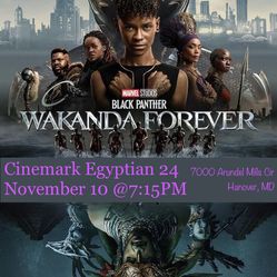 Black Panther 2: Wakanda Forever Movie Tickets
