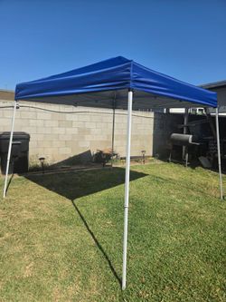 Carpas canopy news