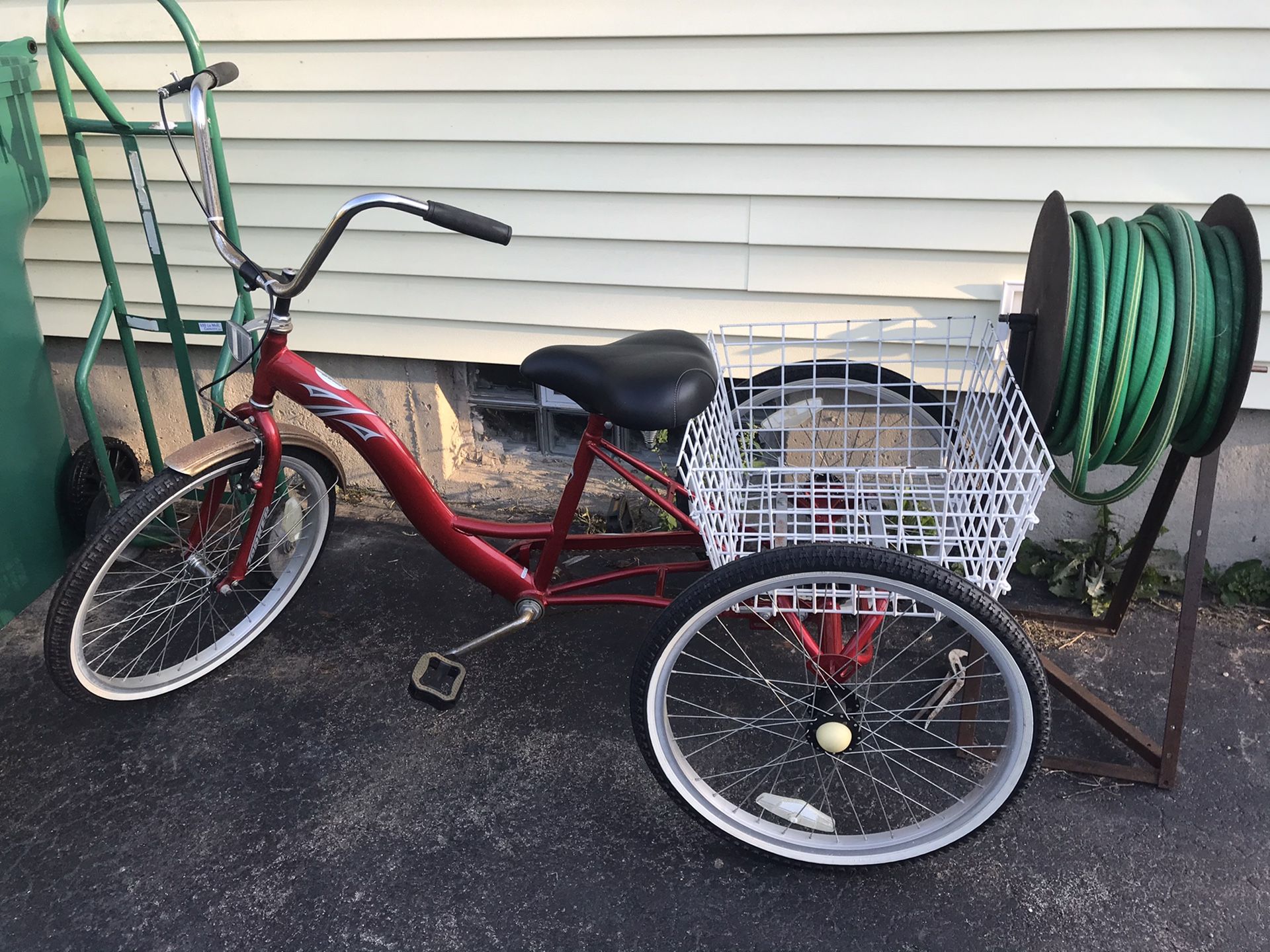 Adult tricycle 24”