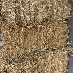 Three Full Size Straw Bales