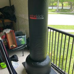 Standing Punching Bag