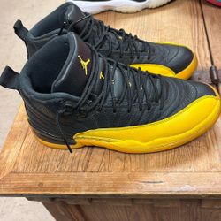 Universal 12’s Jordans