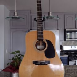 Nashtone Acoustic Guitar