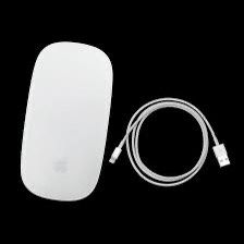Apple Mouse 2, Silver/White
