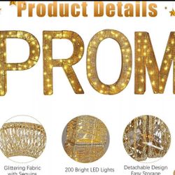 ✨ Light-Up “PROM” Letters – 2ft Tall ✨ ** 4 BOXES** ( TAKING OFFERS FOR ALL 4)