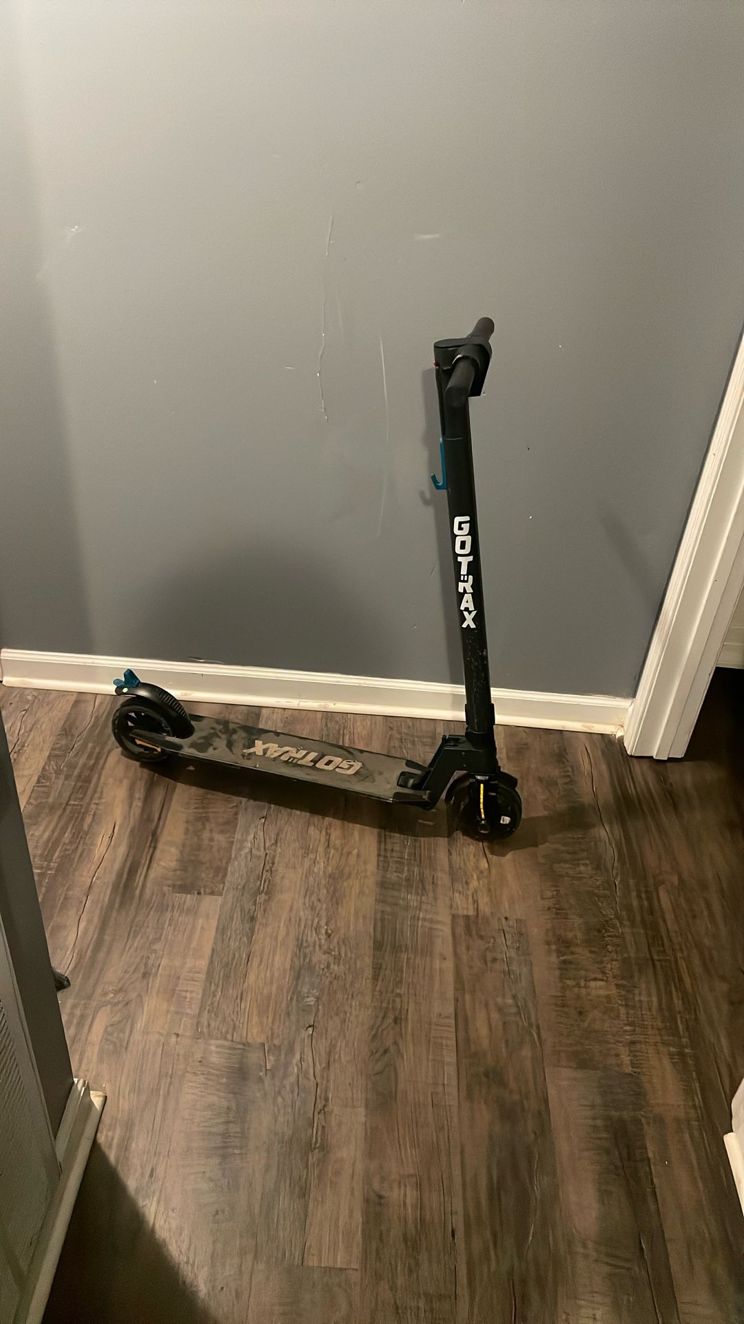 Gotrax Scooter