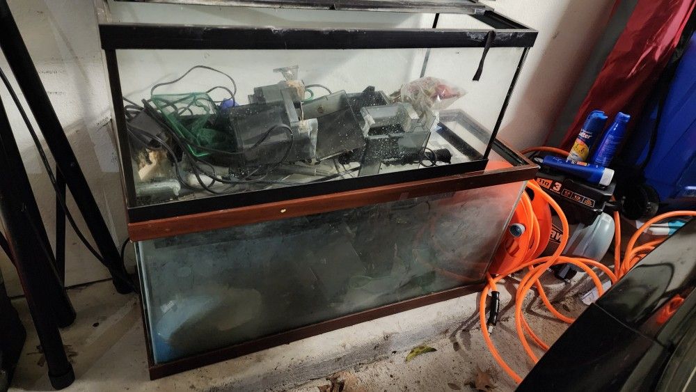 Fish Tanks