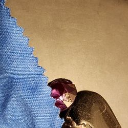 What Are Your Thoughts ?? 