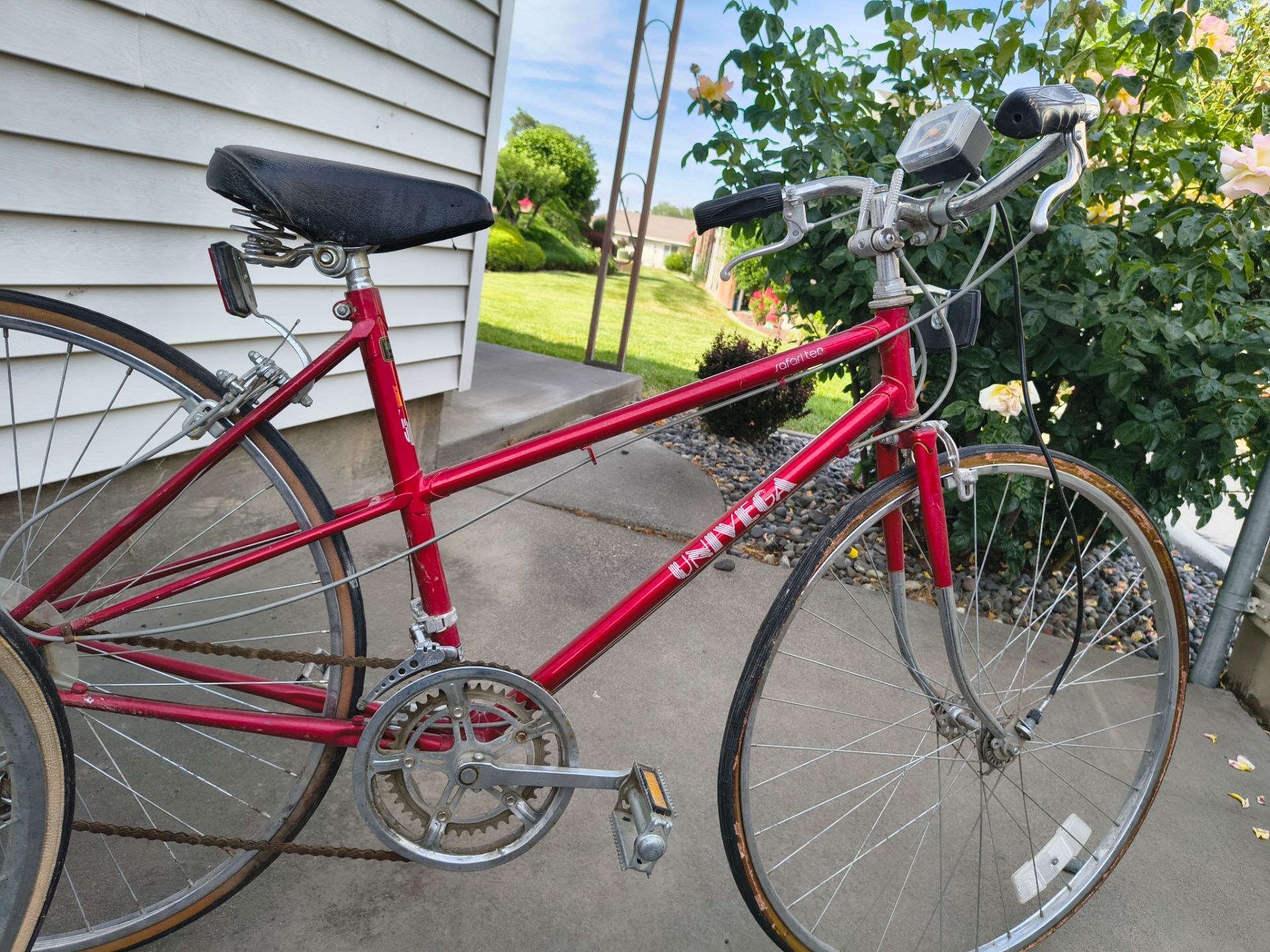 Vintage bike
