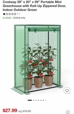 Trellis Plants