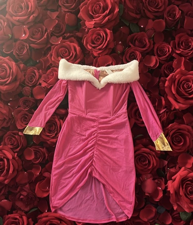 Sleeping Beauty Costume