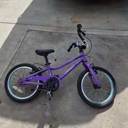 Guardian 16 inch Bicycle (4 to 6 years old kids)
