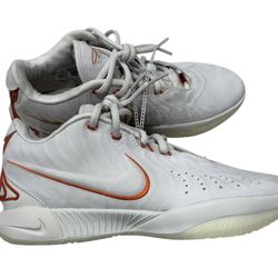 NIKE Lebron XXI Akoya Basketball Shoes (FV2345-001, Light Bone/Coconut Milk