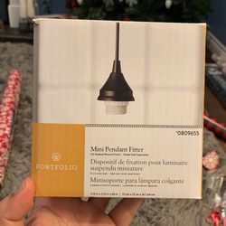 Portfolio Mini Pendant Fitter