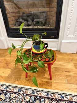 Lovely delightful live houseplant with unique pot.Pothos plants are a popular choice for indoor gardening due to their easy care and beautiful foliage