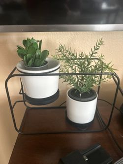 In Potplant stand with decorations
