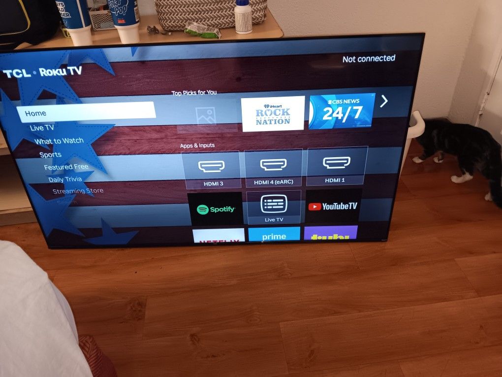 58  Roku Smart Tv Works Great Picture Is Fantastic 