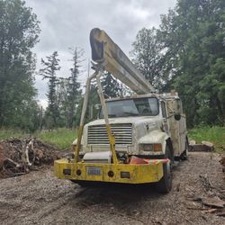 1989 International Navistar