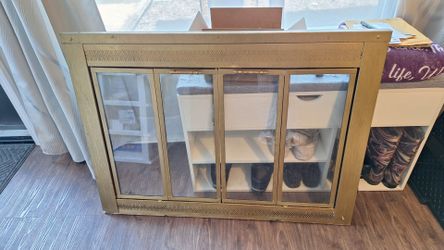 Vintage Brass fireplace Doors