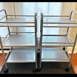 2 Utility shelving units with wheels!