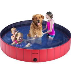 Swimming Pool For Pet